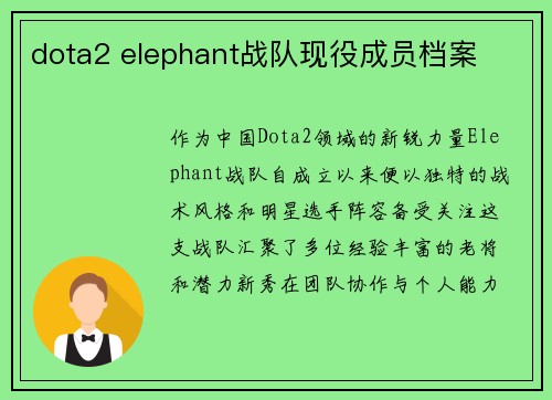 dota2 elephant战队现役成员档案