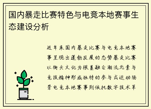 国内暴走比赛特色与电竞本地赛事生态建设分析